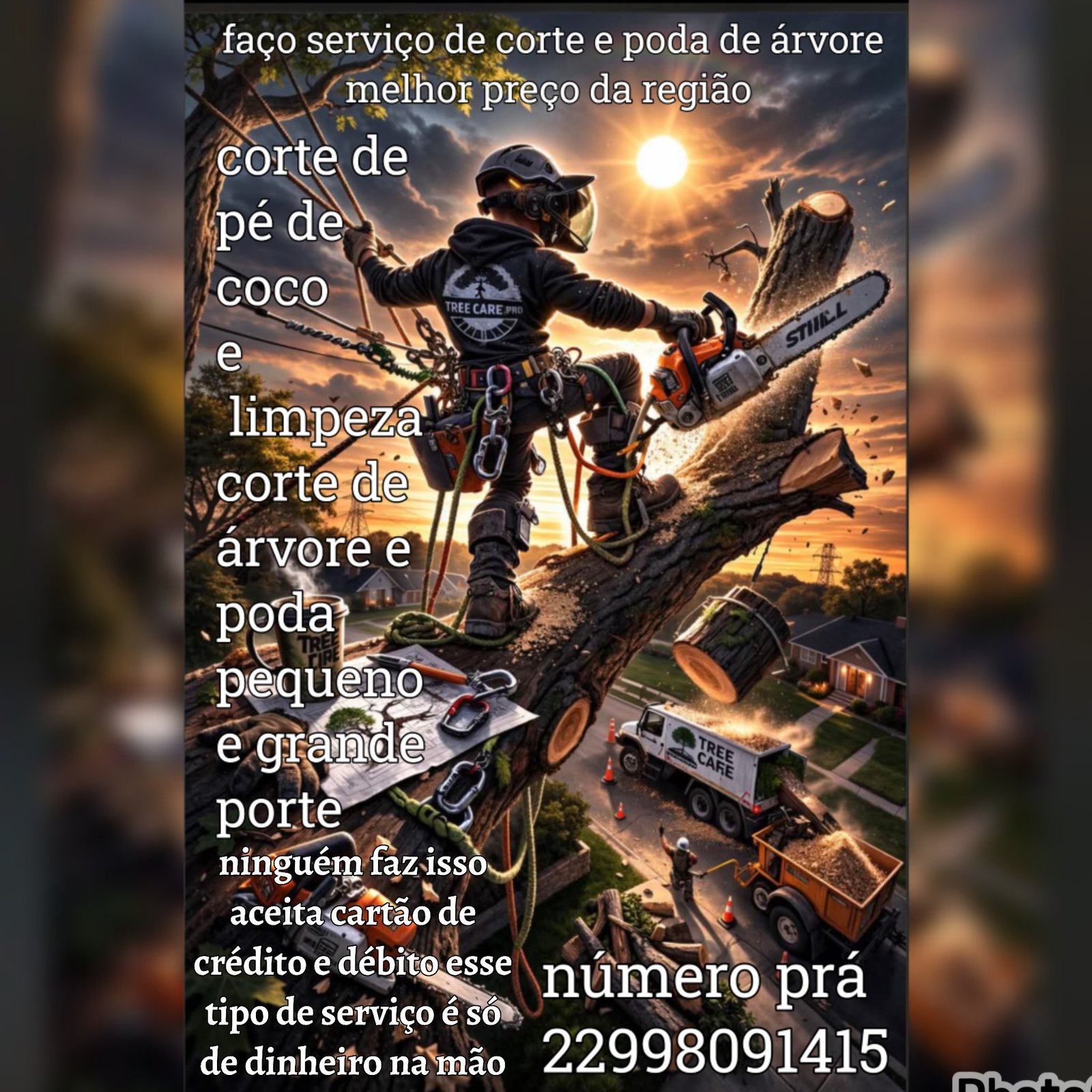 Pedro da poda de árvore 🌳