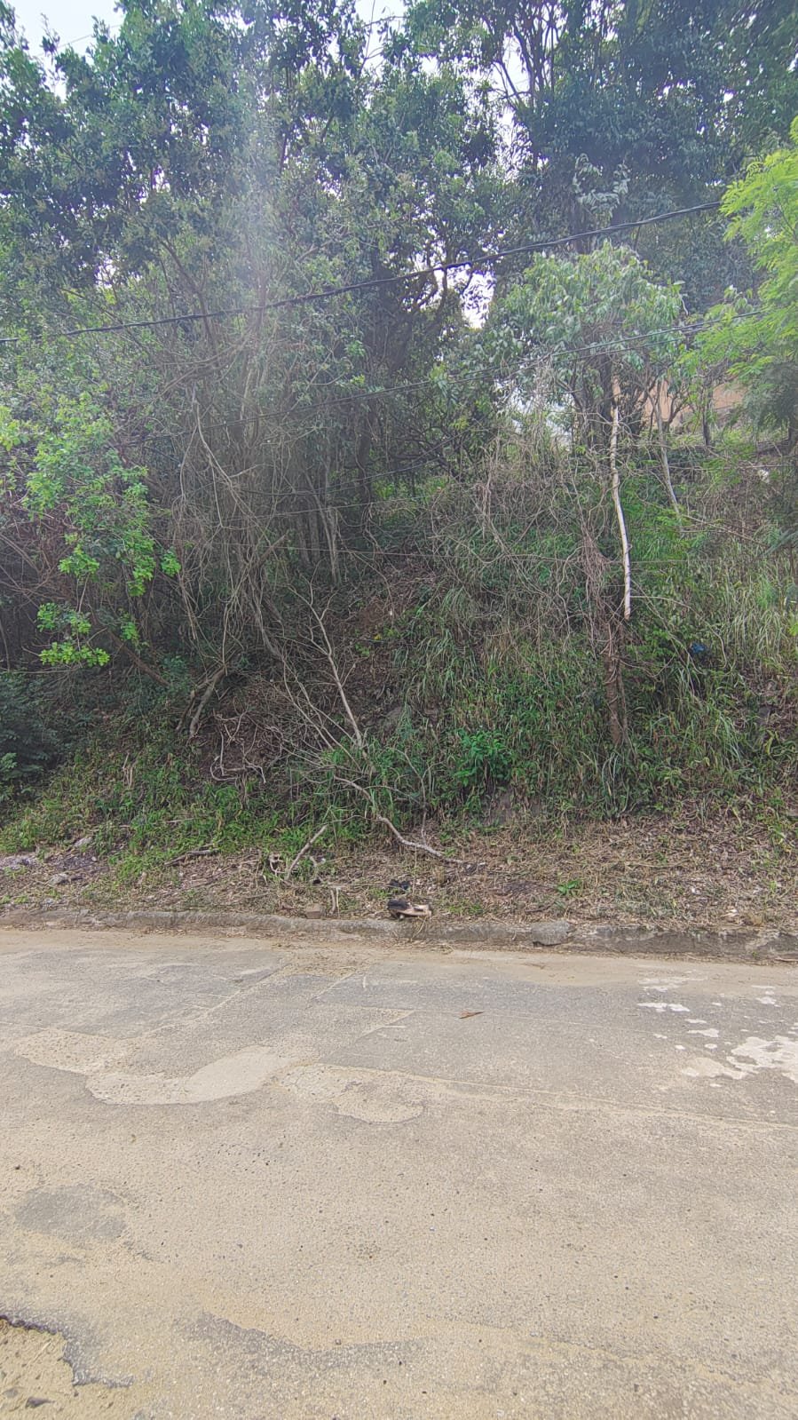 terreno no Peró